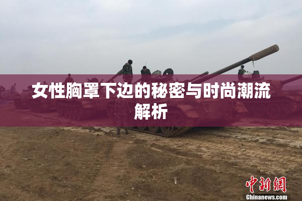 女性胸罩下边的秘密与时尚潮流解析