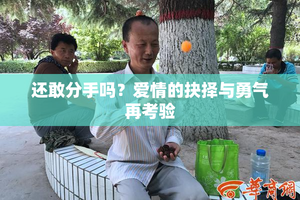 还敢分手吗？爱情的抉择与勇气再考验