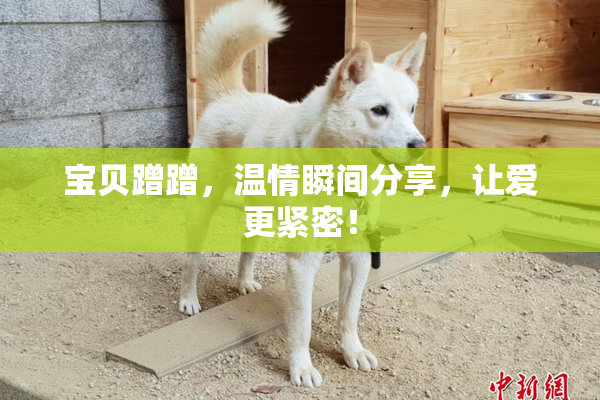 宝贝蹭蹭，温情瞬间分享，让爱更紧密！
