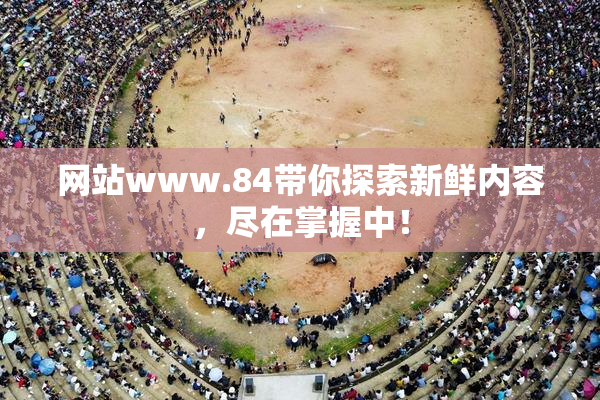 网站www.84带你探索新鲜内容，尽在掌握中！
