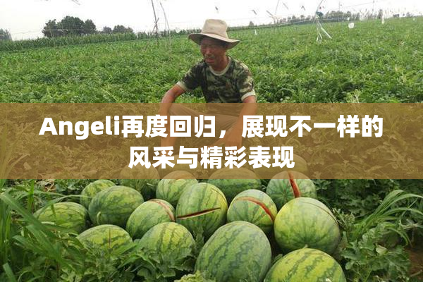 Angeli再度回归，展现不一样的风采与精彩表现
