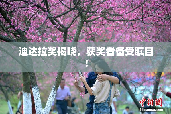 迪达拉奖揭晓，获奖者备受瞩目！