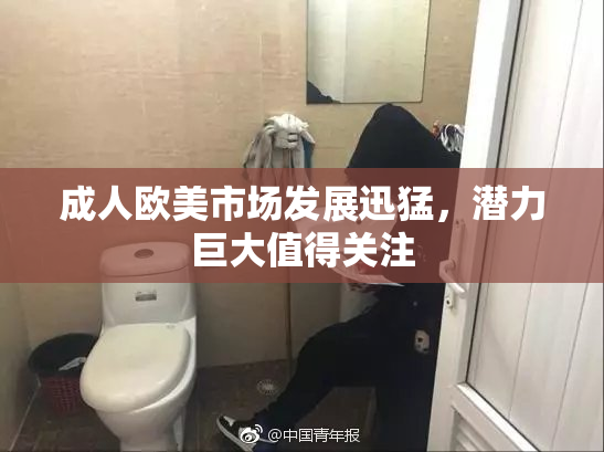 成人欧美市场发展迅猛，潜力巨大值得关注