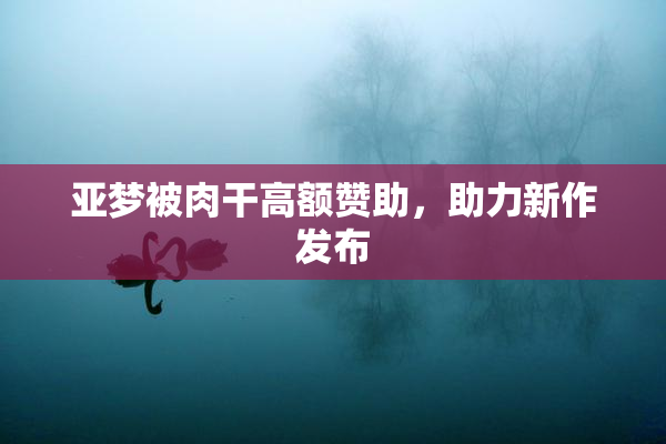 亚梦被肉干高额赞助，助力新作发布