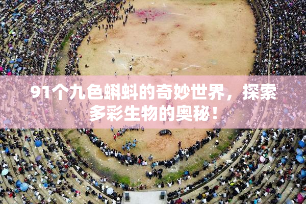 91个九色蝌蚪的奇妙世界，探索多彩生物的奥秘！