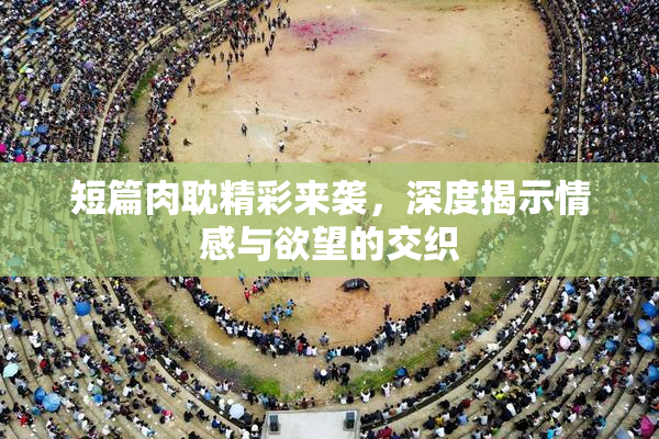 短篇肉耽精彩来袭，深度揭示情感与欲望的交织