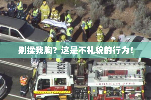 别揉我胸？这是不礼貌的行为！