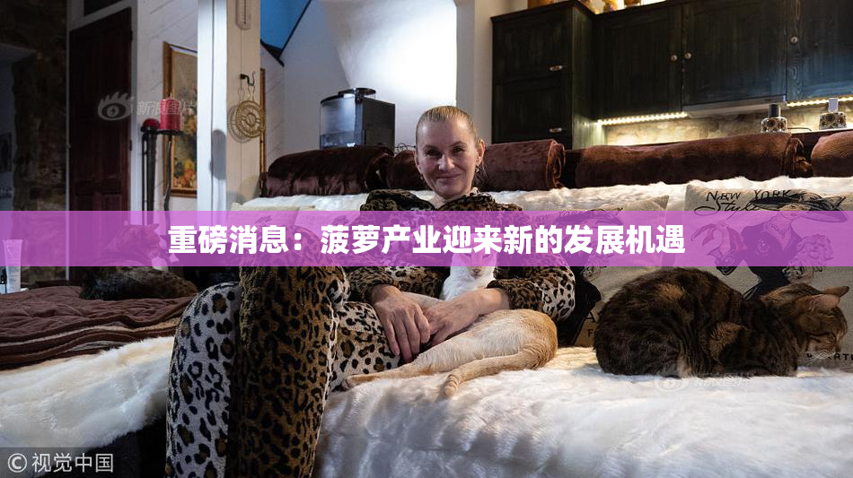 重磅消息：菠萝产业迎来新的发展机遇