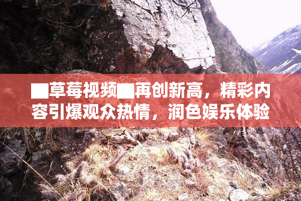▇草莓视频▇再创新高，精彩内容引爆观众热情，润色娱乐体验！