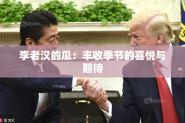 李老汉的瓜：丰收季节的喜悦与期待