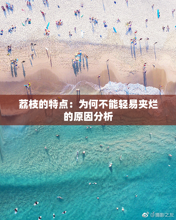 荔枝的特点：为何不能轻易夹烂的原因分析