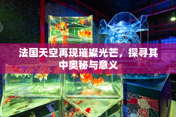 法国天空再现璀璨光芒，探寻其中奥秘与意义