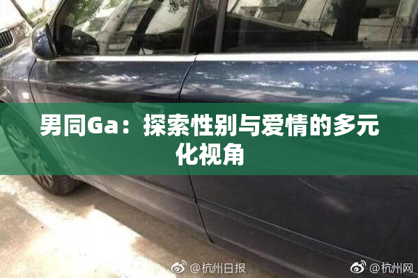 男同Ga：探索性别与爱情的多元化视角