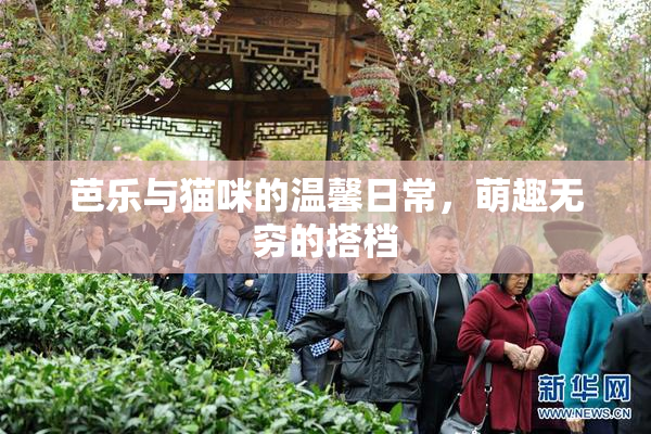 芭乐与猫咪的温馨日常，萌趣无穷的搭档