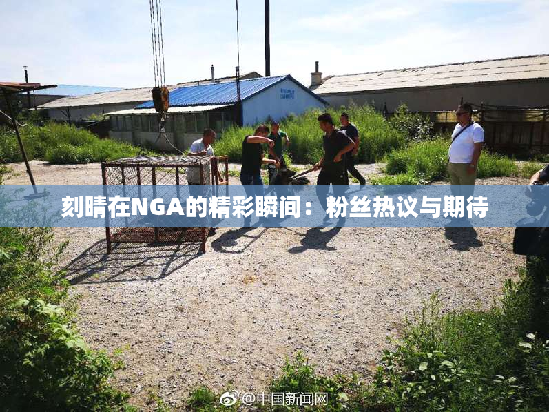 刻晴在NGA的精彩瞬间：粉丝热议与期待