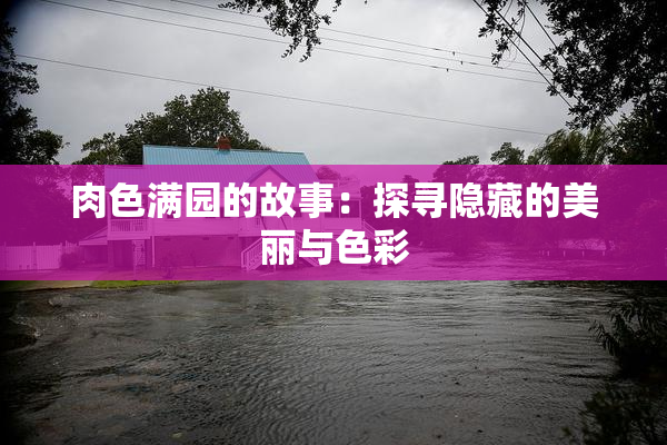 肉色满园的故事：探寻隐藏的美丽与色彩