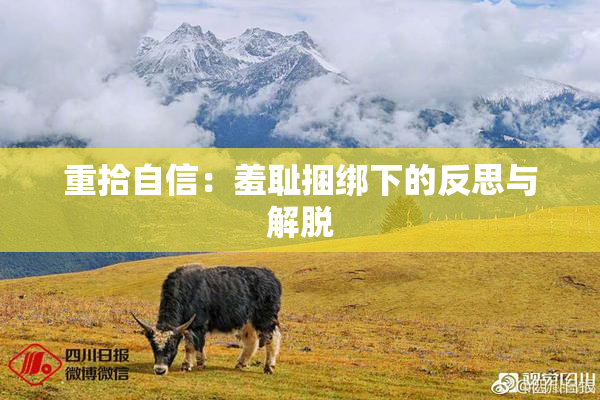 重拾自信：羞耻捆绑下的反思与解脱