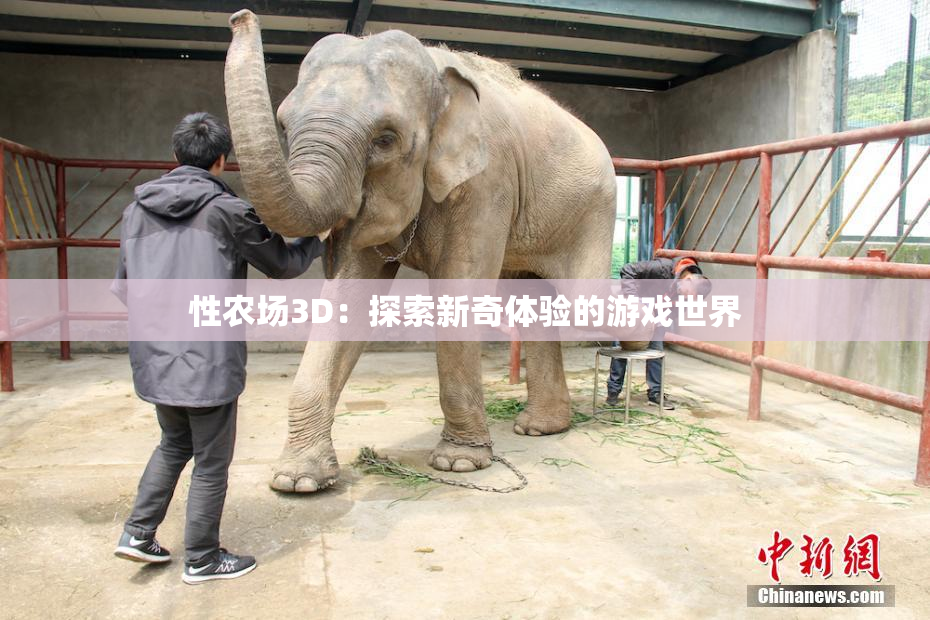 性农场3D：探索新奇体验的游戏世界