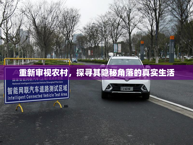 重新审视农村，探寻其隐秘角落的真实生活