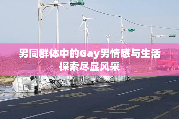 男同群体中的Gay男情感与生活探索尽显风采