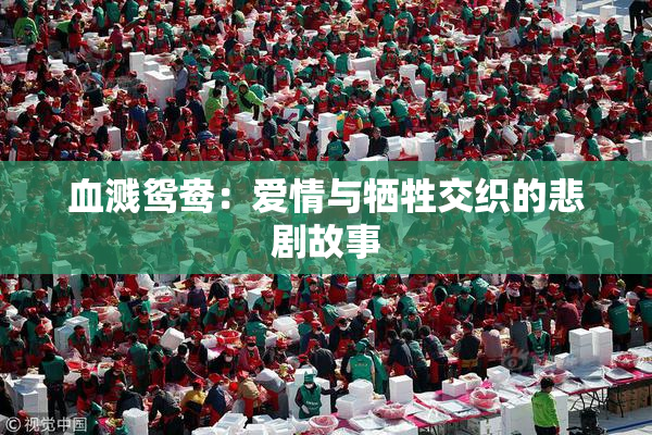 血溅鸳鸯：爱情与牺牲交织的悲剧故事