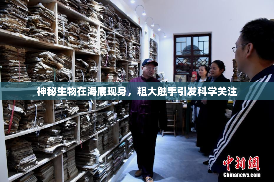 神秘生物在海底现身，粗大触手引发科学关注