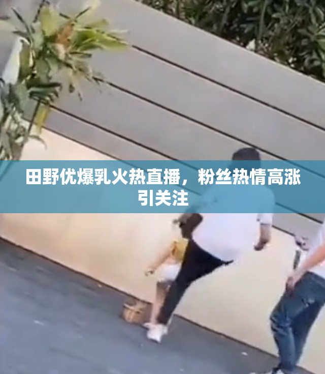 田野优爆乳火热直播，粉丝热情高涨引关注