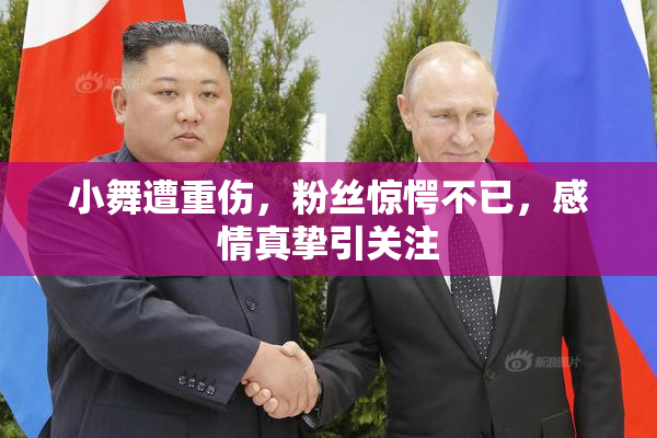 小舞遭重伤，粉丝惊愕不已，感情真挚引关注