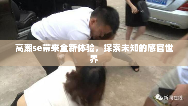 高潮se带来全新体验，探索未知的感官世界
