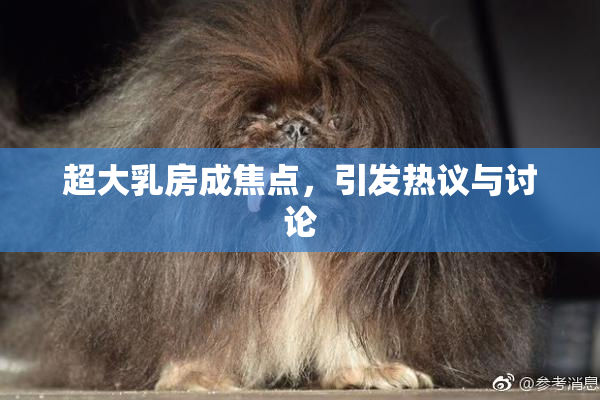 超大乳房成焦点，引发热议与讨论