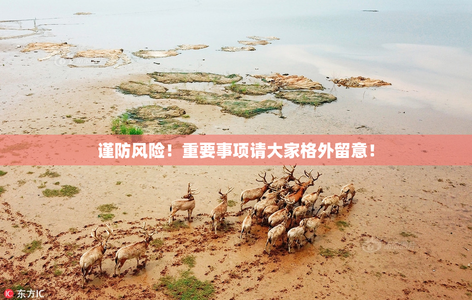 谨防风险！重要事项请大家格外留意！