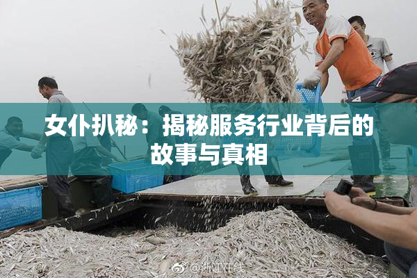 女仆扒秘：揭秘服务行业背后的故事与真相