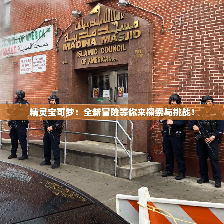 精灵宝可梦：全新冒险等你来探索与挑战！