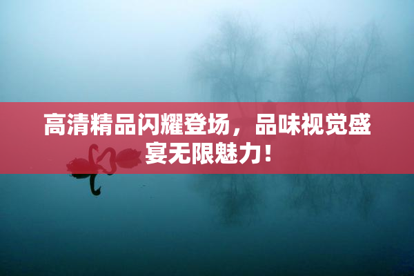高清精品闪耀登场，品味视觉盛宴无限魅力！