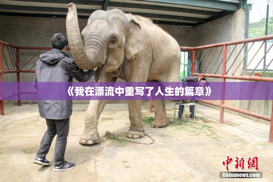 《我在漂流中重写了人生的篇章》