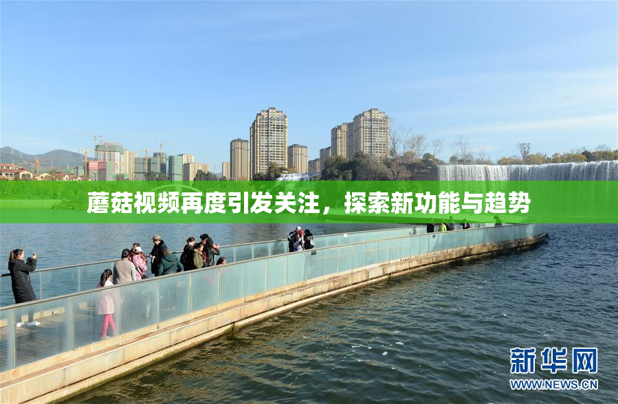 蘑菇视频再度引发关注，探索新功能与趋势