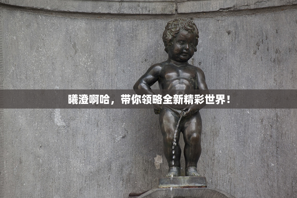 曦澄啊哈，带你领略全新精彩世界！