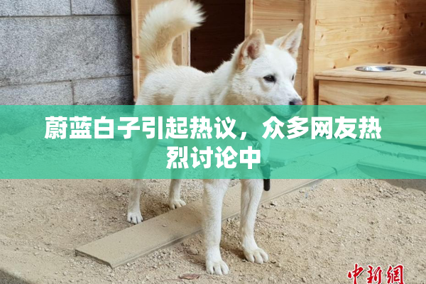 蔚蓝白子引起热议，众多网友热烈讨论中