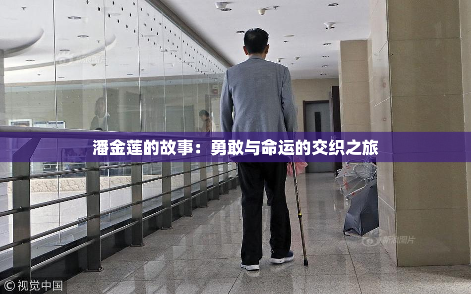 潘金莲的故事：勇敢与命运的交织之旅