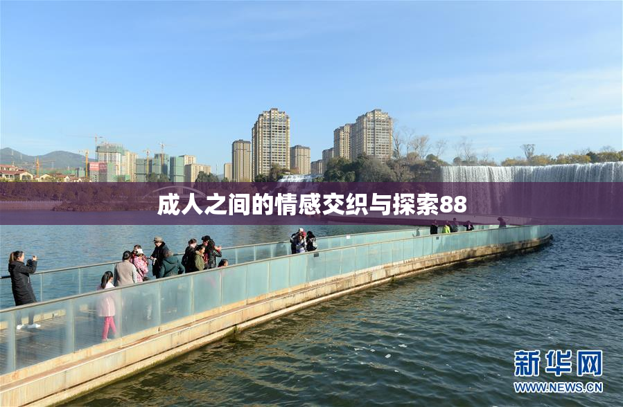 成人之间的情感交织与探索88