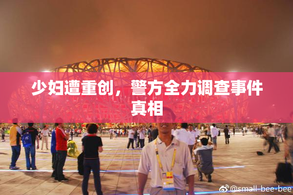 少妇遭重创，警方全力调查事件真相
