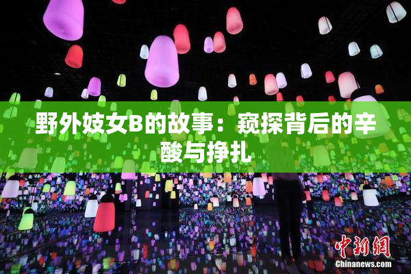 野外妓女B的故事：窥探背后的辛酸与挣扎