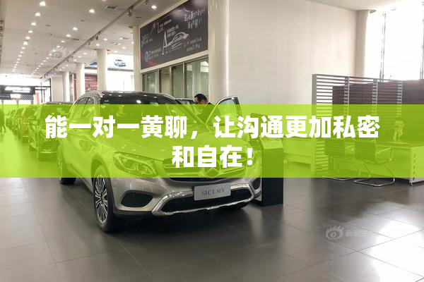 能一对一黄聊，让沟通更加私密和自在！