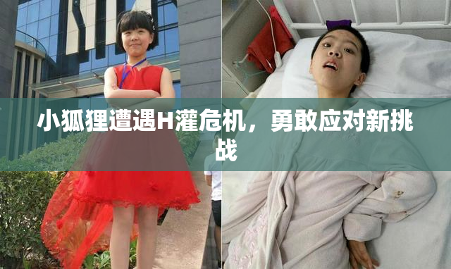 小狐狸遭遇H灌危机，勇敢应对新挑战