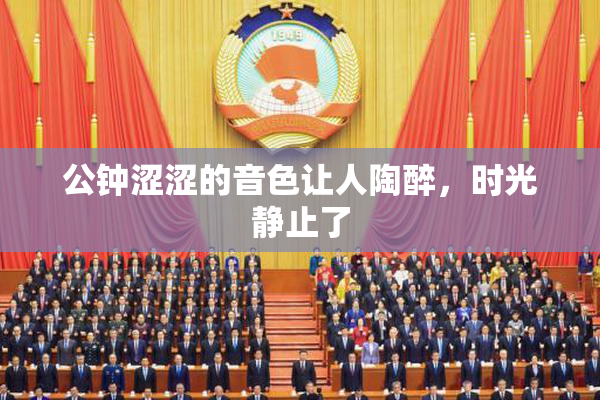公钟涩涩的音色让人陶醉，时光静止了