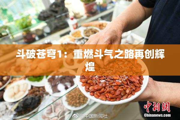 斗破苍穹1：重燃斗气之路再创辉煌