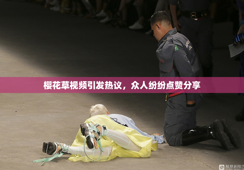 樱花草视频引发热议，众人纷纷点赞分享