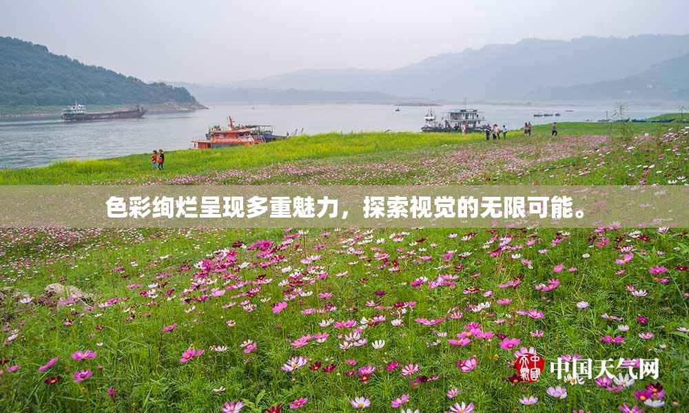 色彩绚烂呈现多重魅力，探索视觉的无限可能。