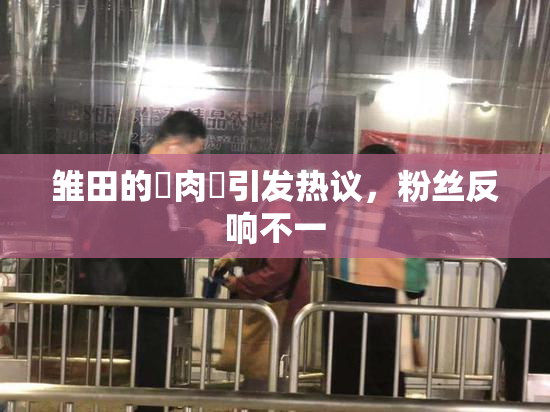 雏田的婬肉泬引发热议，粉丝反响不一