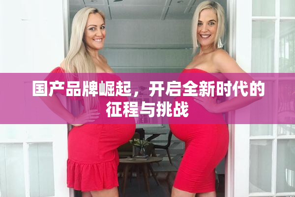 国产品牌崛起，开启全新时代的征程与挑战